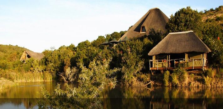 Sudafrica - Lodge di lusso nella spettacolare Shamwari Game Reserve